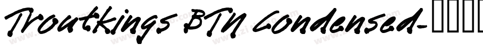 Troutkings BTN Condensed字体转换